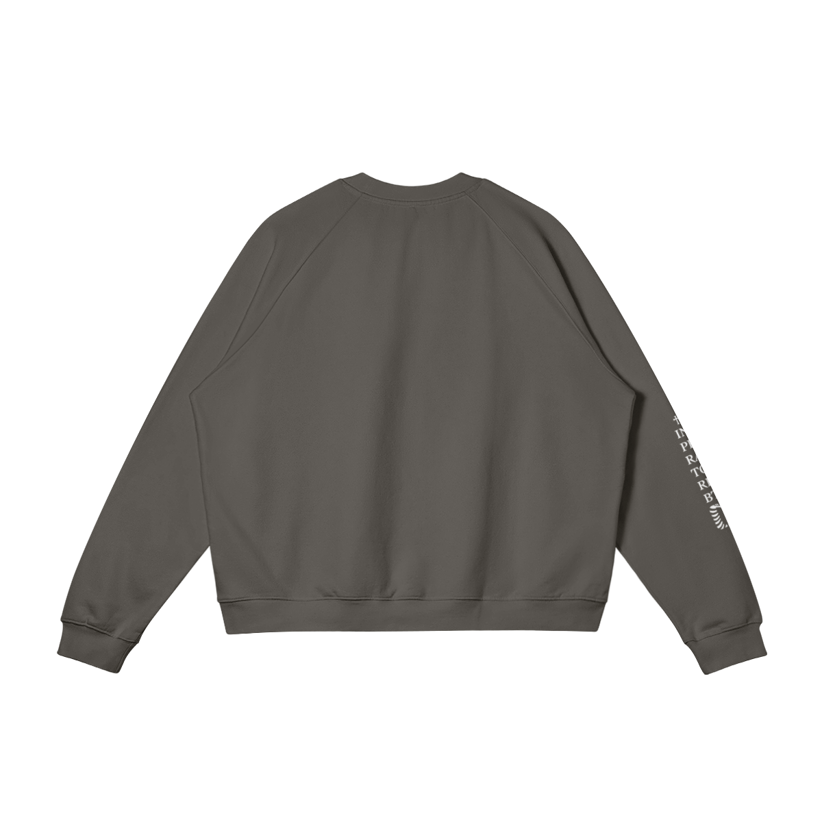 Skanderbeg 1444 - Oversized Heavyweight Sweatshirt